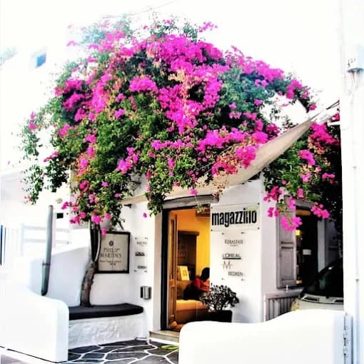 Magazzino Haircare Group